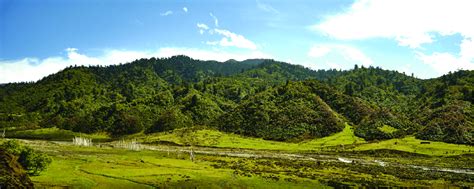 Red panda habitat in Sakteng Wildlife Sanctuary | Download Scientific ...