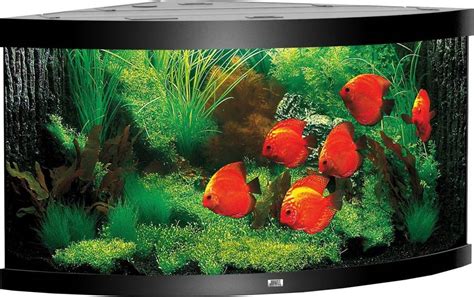 Juwel Trigon Led Aquarium Find Den Bedste Pris