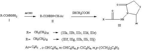 Synthesis Scheme Of Disubstituted Thiazolidinone Derivatives