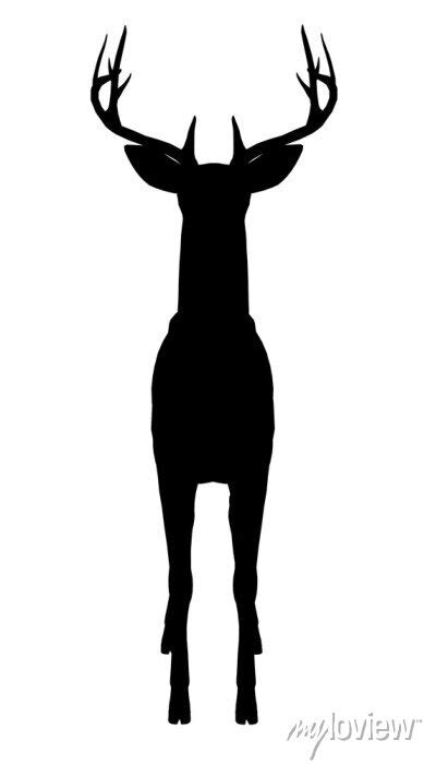 Deer Silhouette Isolated On White Background Front View Vector