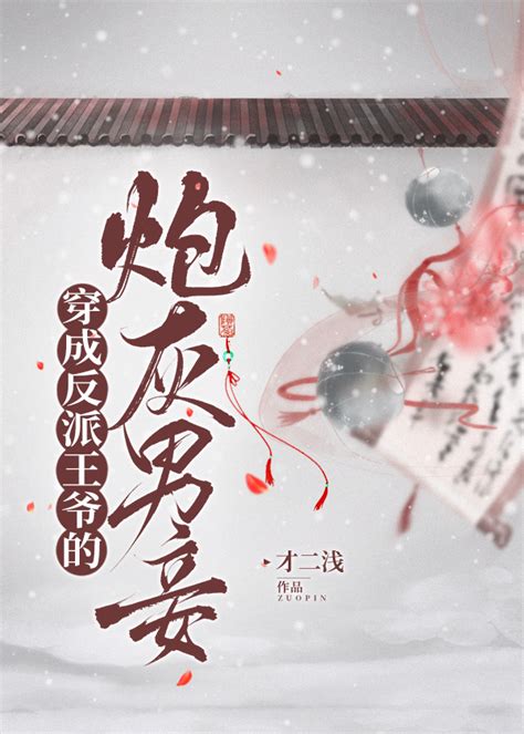 《穿成反派王爷的炮灰男妾》才二浅晋江文学城【原创小说纯爱小说】