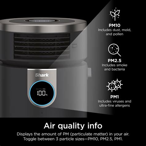 Do Air Purifiers Work For Dog Smell