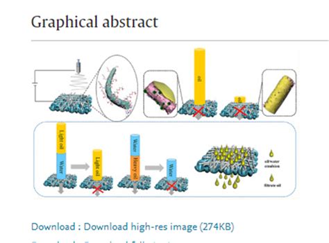 焦体峰教授课题组Chemosphere综述 Recent developments in the application of