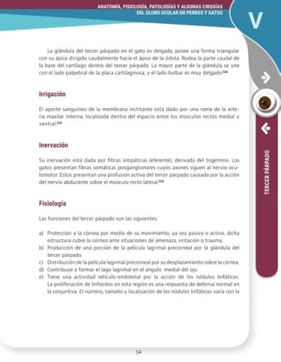 Anatomía fisiológia patologías y algunas cirugías del globo ocular en