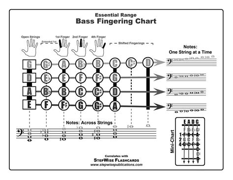 Double Bass Range Of Notes | Guitar