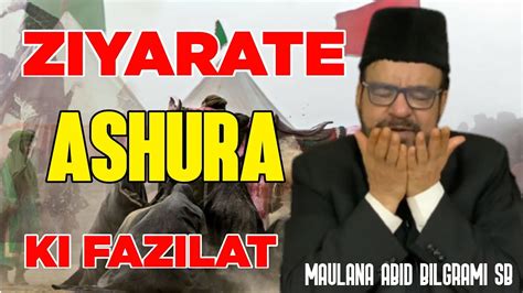 Ziyarate Ashura Ki Fazilat Molana Abid Bilgrami Sb Imam Hussain