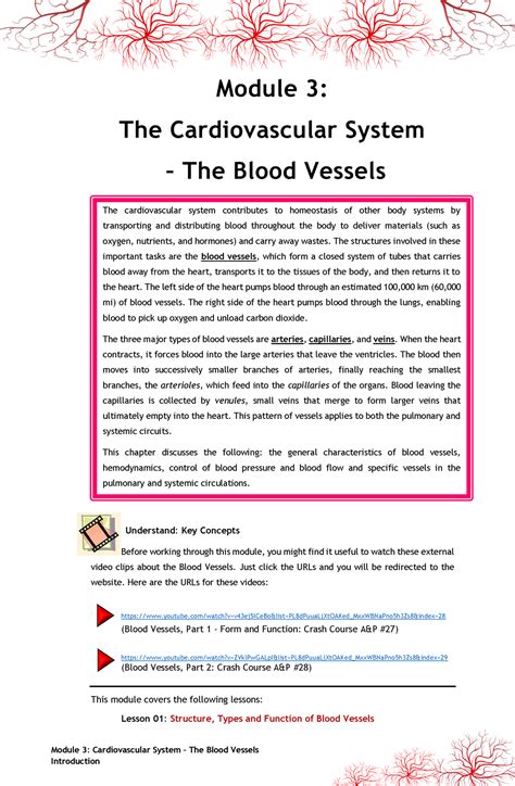 Numc B Module Introduction Module Cardiovascular System The