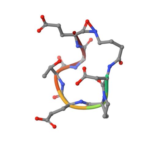 RCSB PDB 7K2O Kelch Domain Of Human KEAP1 Bound To Nrf2 Based Cyclic