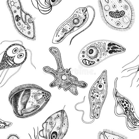 Protozoa Monochrome Vector Seamless Pattern Stock Vector Illustration Of Organism Microbe