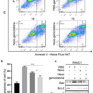 Hexo Antagonized Gemcitabine Induced Apoptosis In PC Cells A B Cell