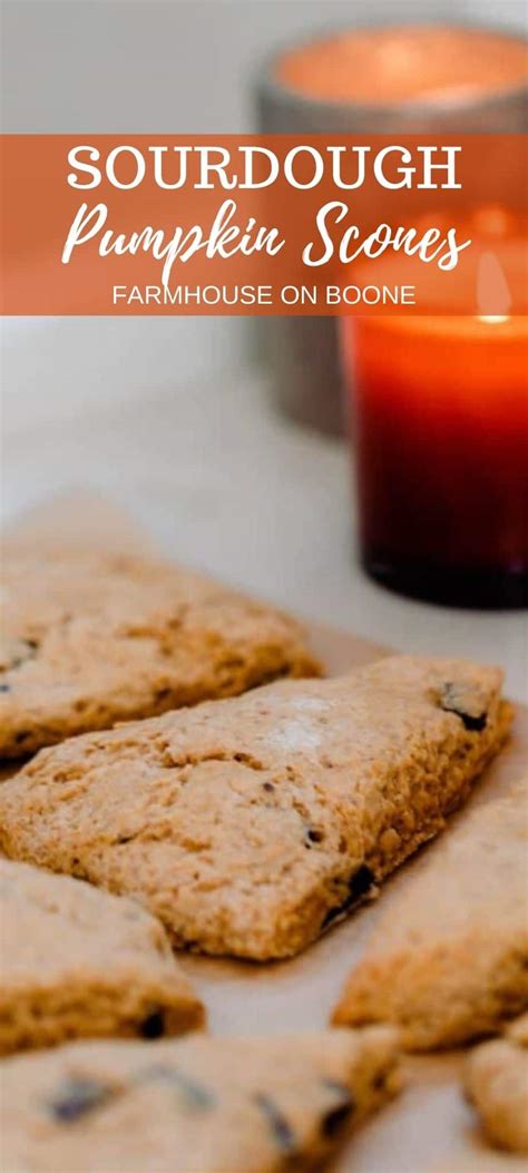 The Best Sourdough Pumpkin Scones With Discard Farmhouse On Boone