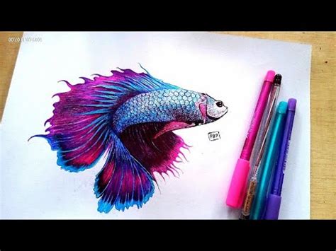 Draw Betta Fish With A Ballpoint Pen Speed Drawing By Puji Budi