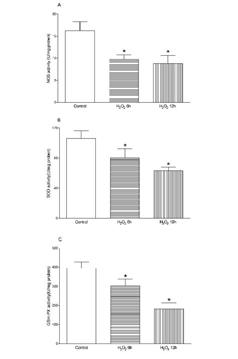 Effect Of Hydrogen Peroxide H 2 O 2 A B C On Nos Sod And Gsh Px