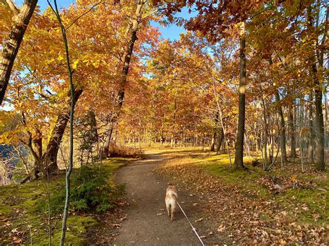 Eighteen Mile Creek Conservation Park Hamburg NY Adventures In New