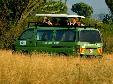 Best Way Of Enjoying A Game Drive In Murchison Falls National Park