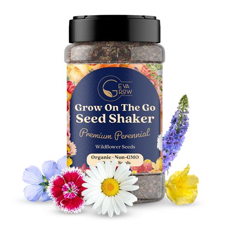 Perennial Wildflower Mix – Long-Lasting Blooms