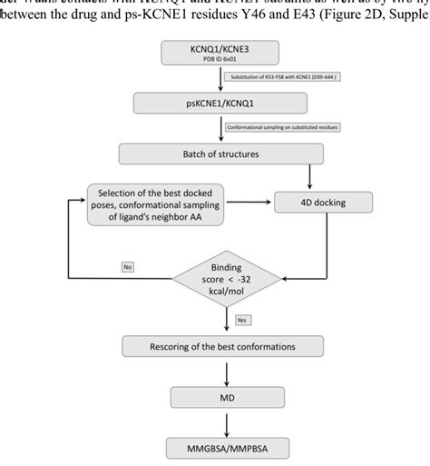 Figure Supplement 1 Drug Docking And MD Simulation Workflow A