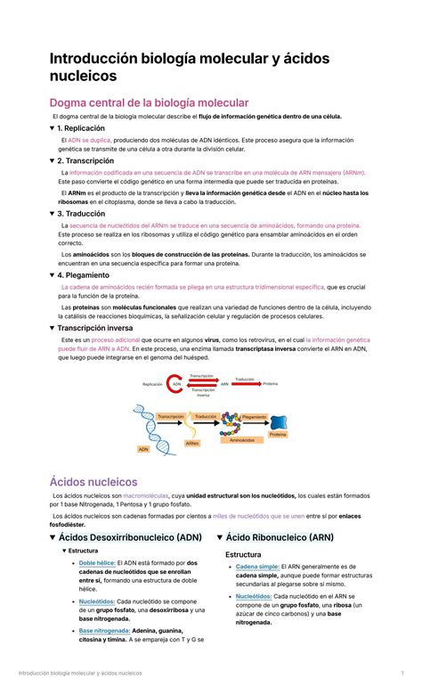 SOLUTION Introducción biología molecular y ácidos nucleicos Studypool