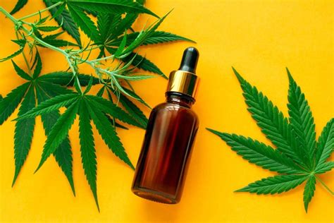 Green Leaf CBD Oil 2020 review. What is it and how does it work? Price