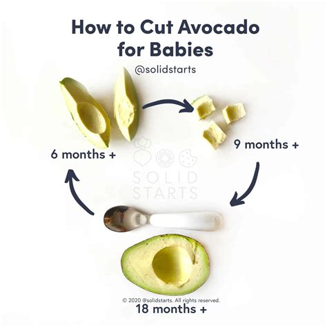 Can Avocado Cause Vomiting In Babies at Barbara Padgett blog