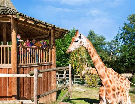 Excellent parc pour passer une belle journée en famille des enfants