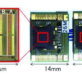 Appearance Of ECoG Measurement Units Two Units For 128 Ch The Red