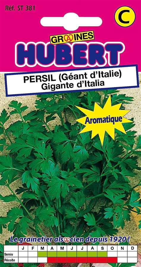 Graines De Persil G Ant D Italie Grammes Amazon Fr Jardin