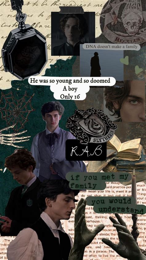 Regulus Black #marauders #Regulusblack #regulusarcturusblack # ...