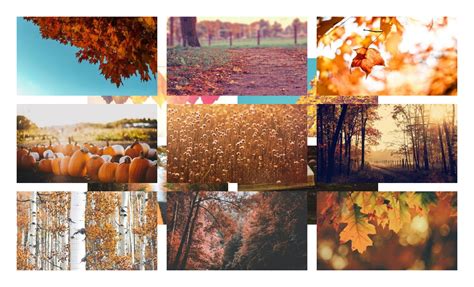 Fall zoom backgrounds - snospy