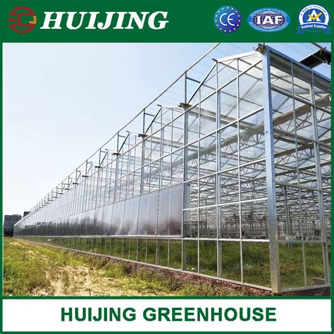 Galvanized Steel Structure Venlo Greenhouse Complete Systems For Sale