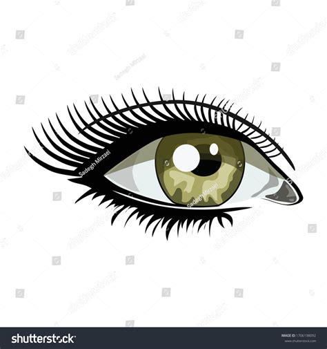 Eye Vector Beautiful Illustration Green Eye Stock Vector Royalty Free