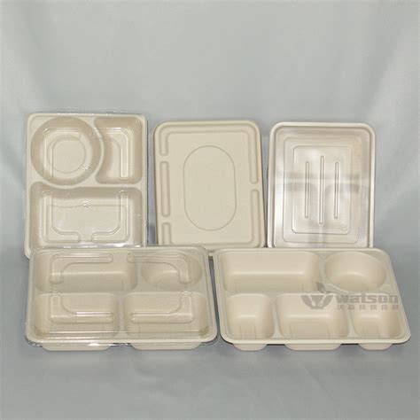 Bipdegradable Sugarcane Bagasse Disposable Meat Biodegradable Food Meat