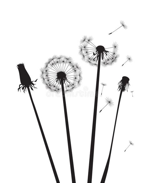 Black Silhouette Dandelions. Vector Illustration. Stock Vector ...