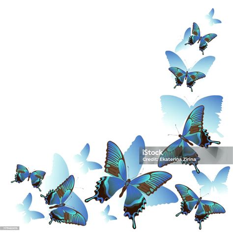 Ilustración De Conjunto De Mariposas De Velero Realistas Azules