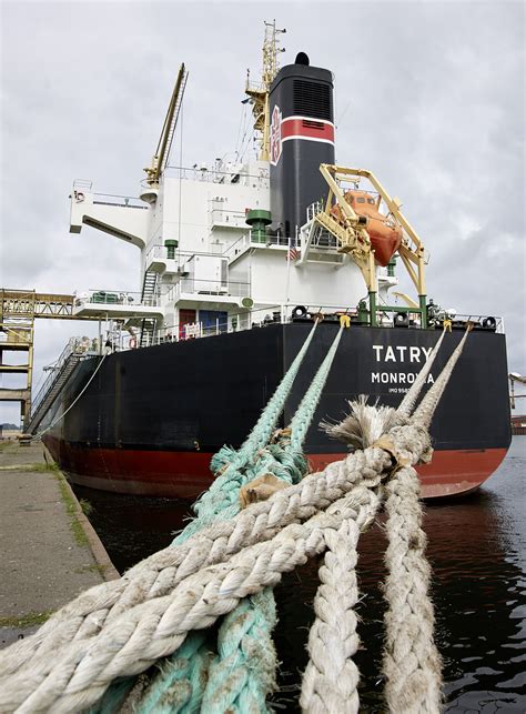 Rostock Port: Ships in Port