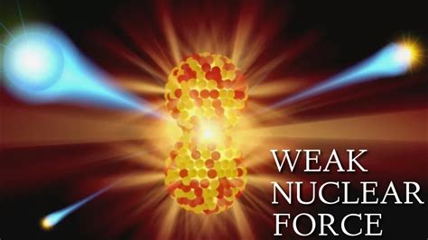 Weak Nuclear Force Examples