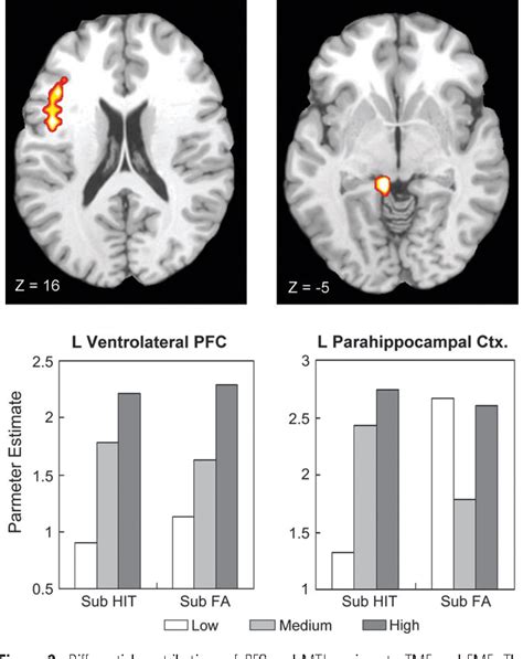 Figure From Differential Contributions Of Prefrontal Medial Temporal