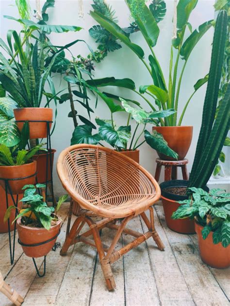 How To Turn Your Balcony Into A Greenhouse My WordPress