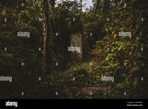 Gravestones in cemetery, Arnos Vale Cemetery Stock Photo - Alamy