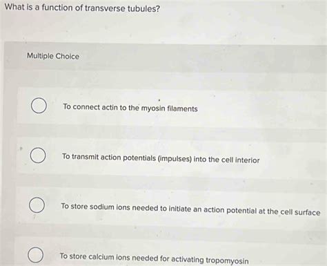 Solved: What is a function of transverse tubules? Multiple Choice To ...