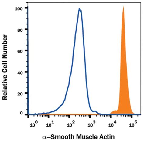 Human Alpha Smooth Muscle Actin Alexa Fluor 750 Conjugated Antibody R