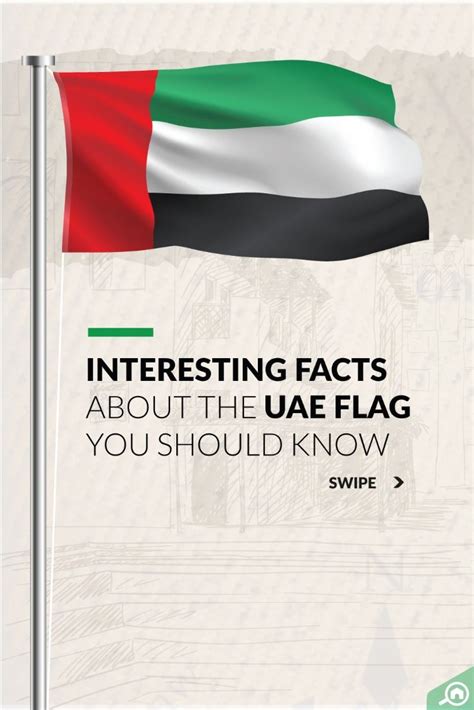 History of the UAE flag facts Uae Flag, Color Meanings, United Arab ...