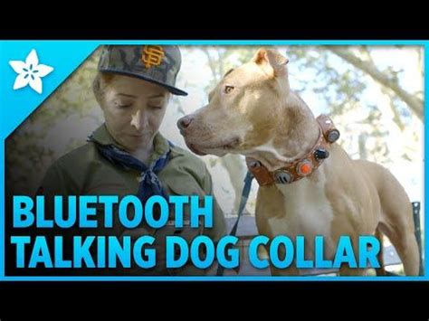 Talking Dog Collar with Bluetooth Control | Talking dog, Friends in ...