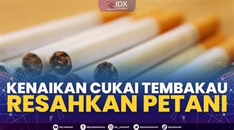 Kenaikan Cukai Tembakau Resahkan Petani