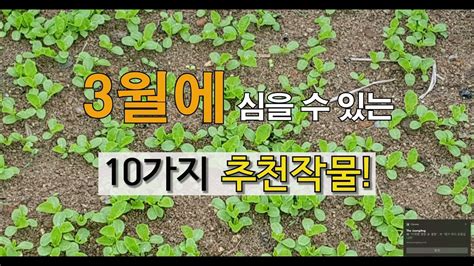 23년 3월에 심을 수 있는 10가지 추천 작물 주말농장 도시 텃밭가꾸기 Youtube