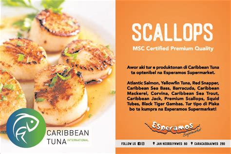 Scallops Distribu Dor Di Caribbean Tuna Optenibel Na Esperamos