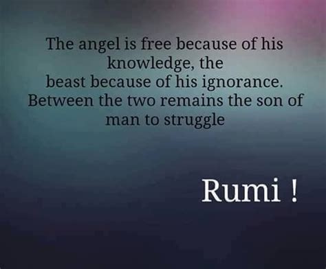 Rumi Quote About The Angel Free Because Of His Knowledge The Beast