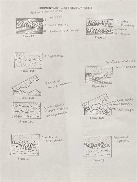 Solved 2 INTERPRETING GEOLOGICAL CROSS SECTIONS A Chegg