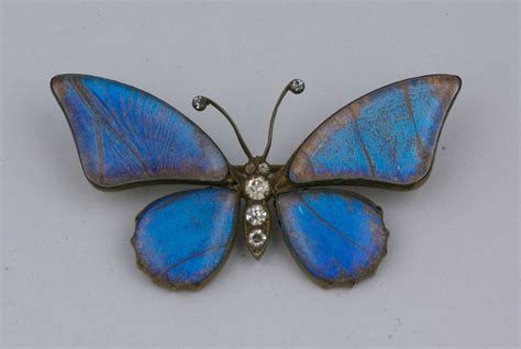 Victorian Butterfly Wing Brooch At Stdibs