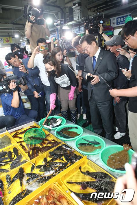 주문진 좌판풍물시장 찾은 이재명 대표 뉴스1